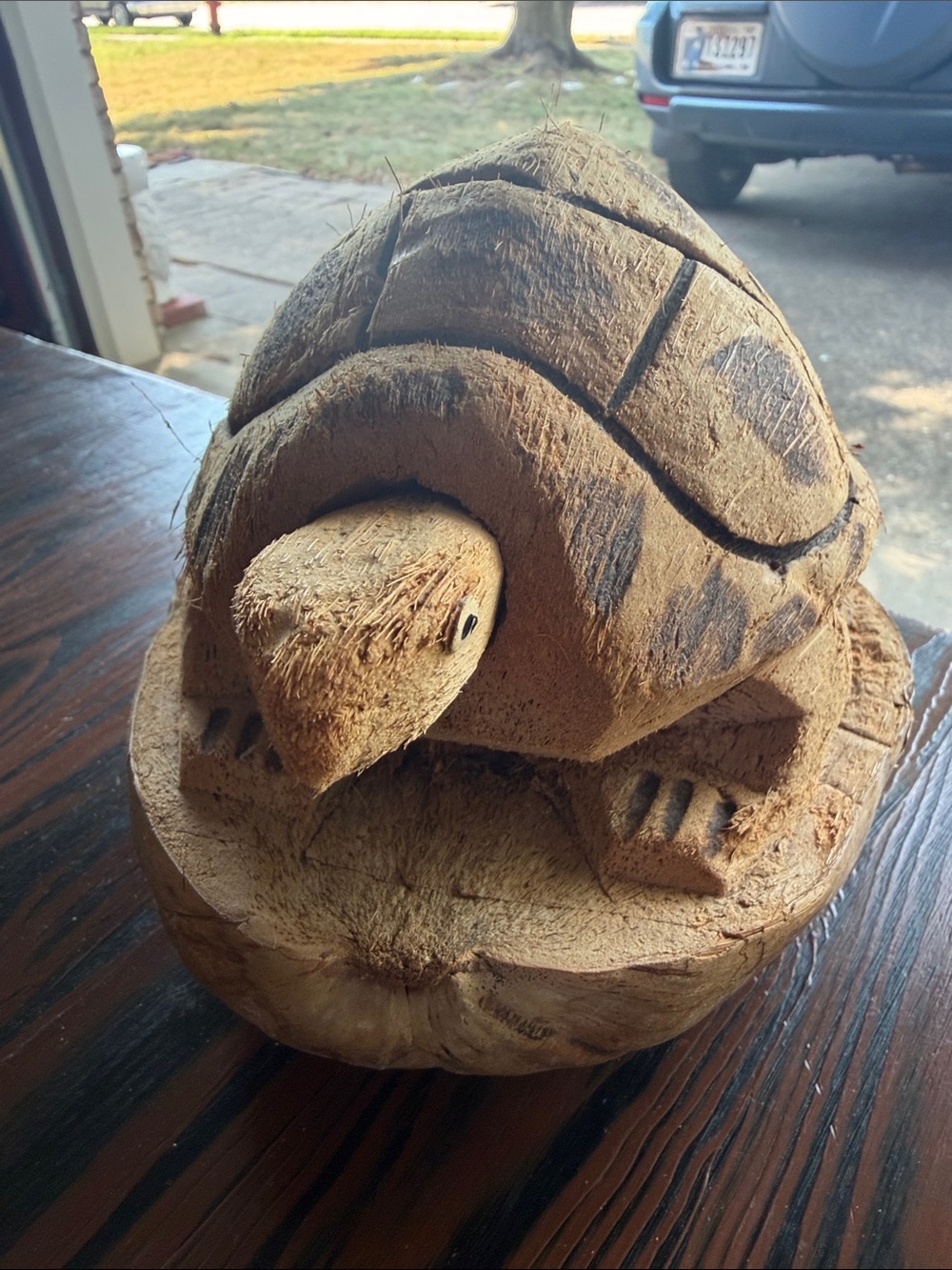 Natural Brown Turtle textured Coconut